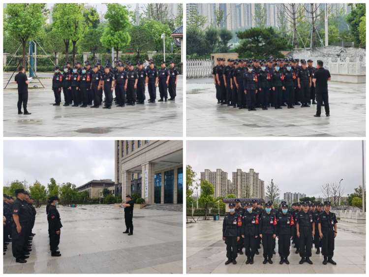 1690765025703517.jpg 1690765025703517.jpg